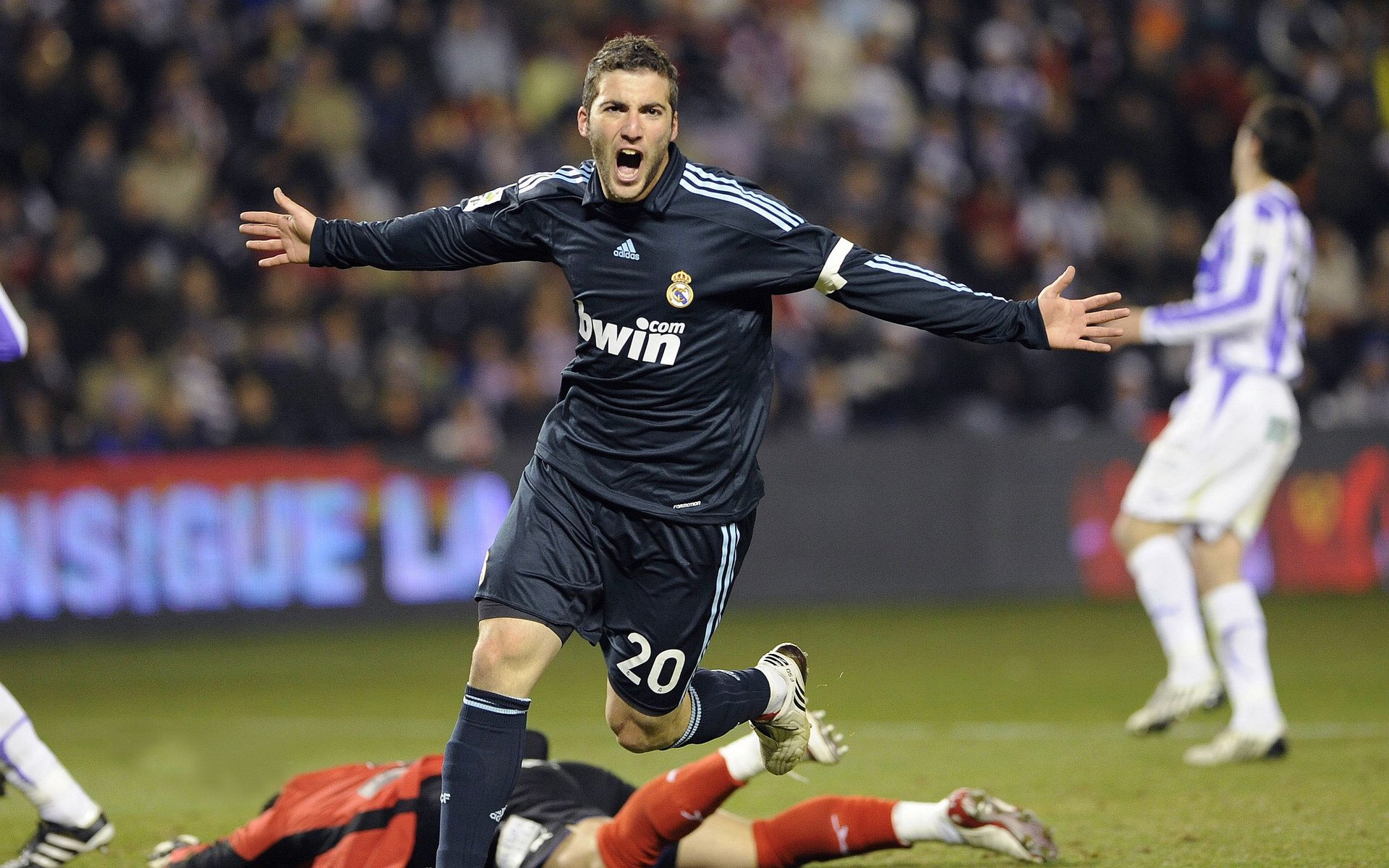 皮特·斯图斯与南非羚羊队一同冲击橄榄球世界的巅峰