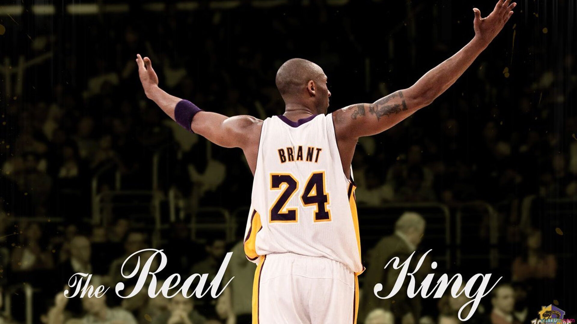 职业联赛品牌联动缺乏行业矩阵效应,联赛品牌价值